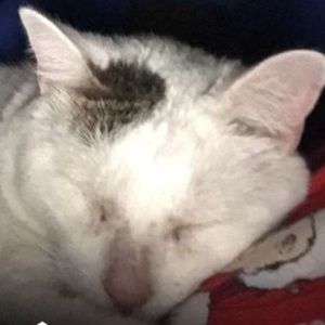 Meet your Posher, Nora